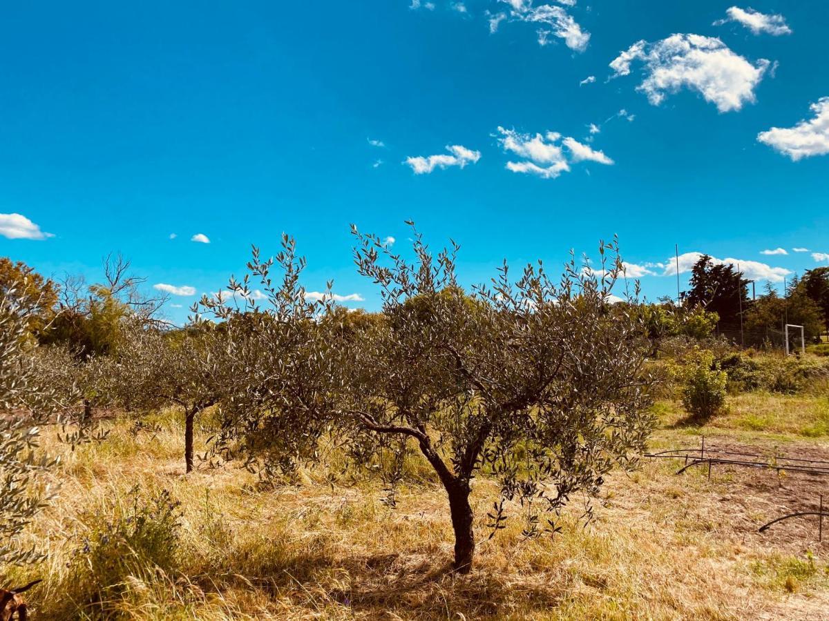 Il Nuraghe Del Lago Coghinas Oschiri Exterior foto